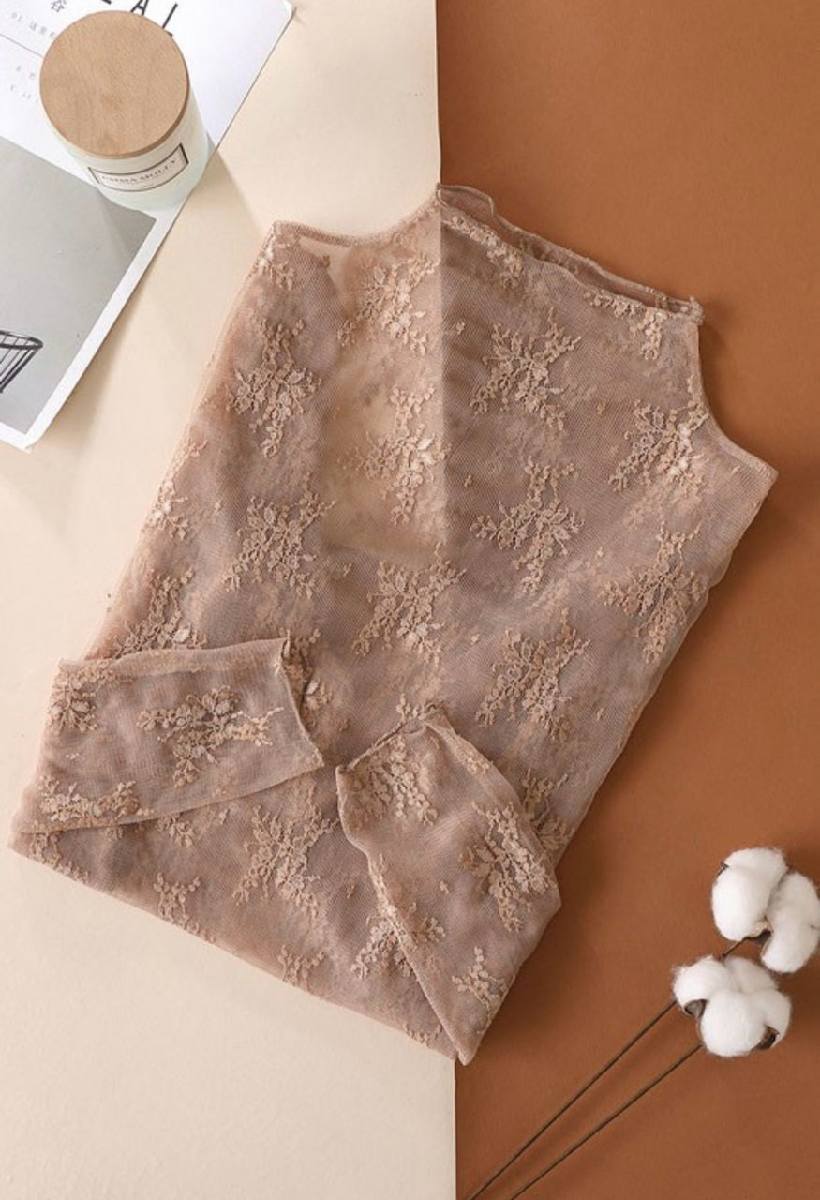 Sheer Lace Long Sleeve Top