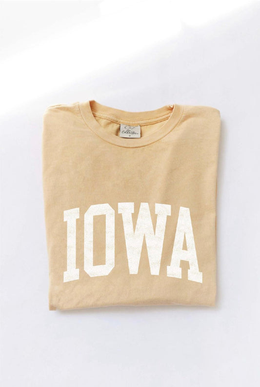 IOWA Mineral Graphic Top