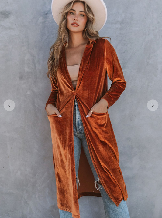 Retro Velvet Long Sleeve Coat