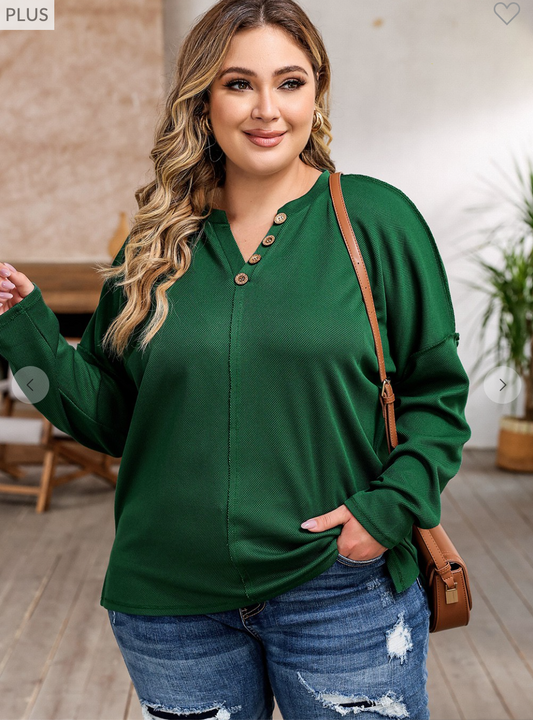 Green Solid  Long Sleeve Top